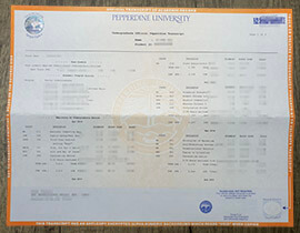 Buy Pepperdine University fake Transcript Online.