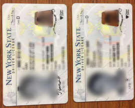 Where to buy New York State Driver License?