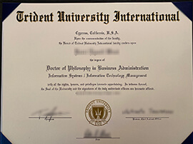 Buy Fake Trident University International Diploma.