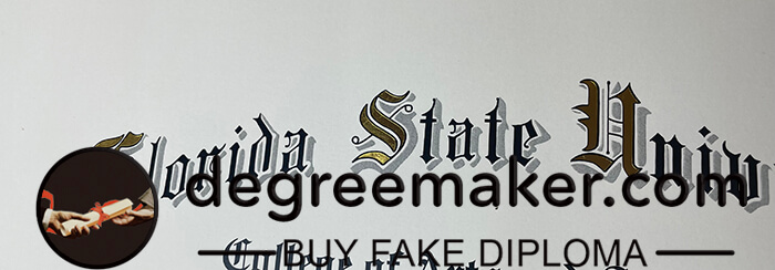 Florida State University diploma. buy Florida State University certificate. buy fake degree, buy fake diploma.