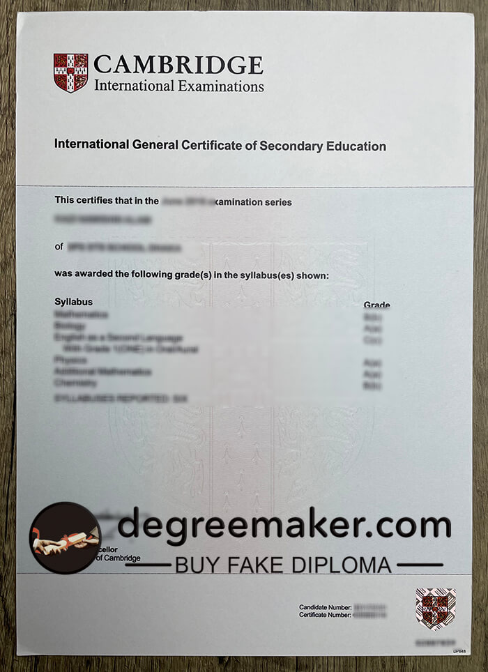 Camberidge IGCSE certificate, where to buy IGCSE fake certificate? buy fake certificate online.