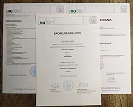 Quality University of Munich degree and transcripts for sale