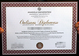 What’s the price for a fake Anadolu University degree online