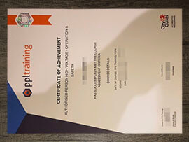 How to order City Guilds PPL training certificate from UK?