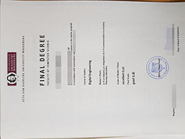 Obtain a fake Otto von Guericke University Magdeburg degree.