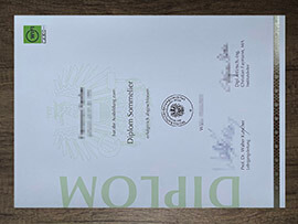 How to order fake Wirtschaftsförderungsinstitut diploma?