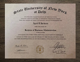 Would an online copy of a SUNY Delhi degree be useful?