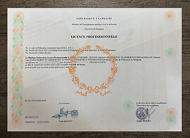 What’s the price for a fake Université de Perpignan degree?