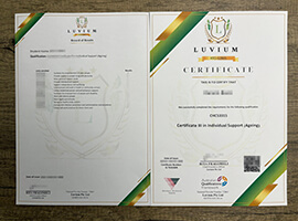 Apply for Luvium qualifications certificate and Record of Results.