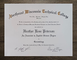 Buy a Northeast Wisconsin Technical College degree online.