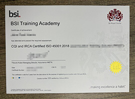 Order a BSI Training Academy certificate, Buy fake diploma.