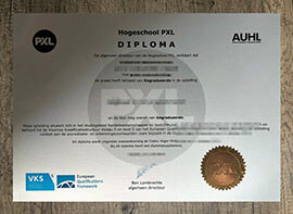 Hogeschool PXL certificate