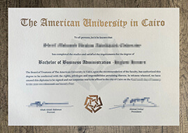 Order a American University in Cairo degree, Buy AUC diploma