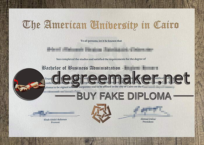 American University in Cairo degree