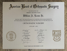 Create American Board of Orthopaedic Surgery certificate.