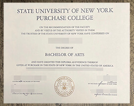 Why do more and more people want to buy a diploma from the State University of New York at Purchase?