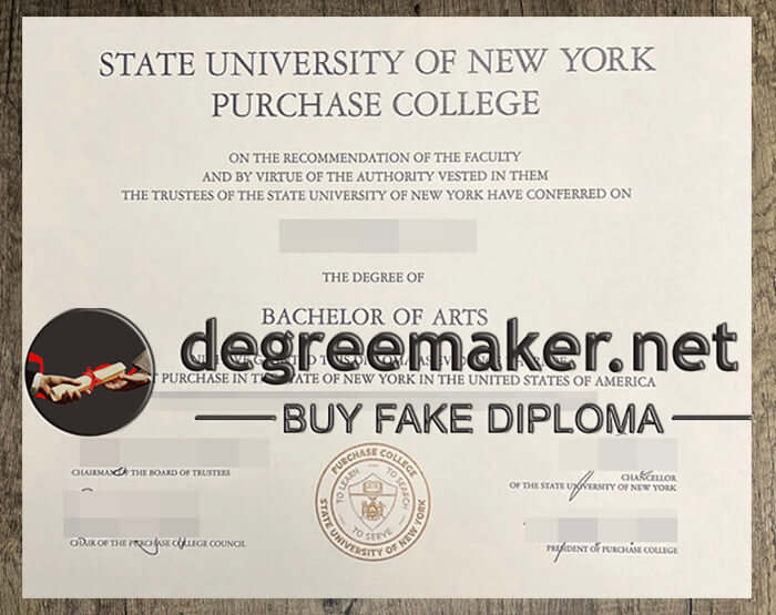 State University of New York at Purchase degree